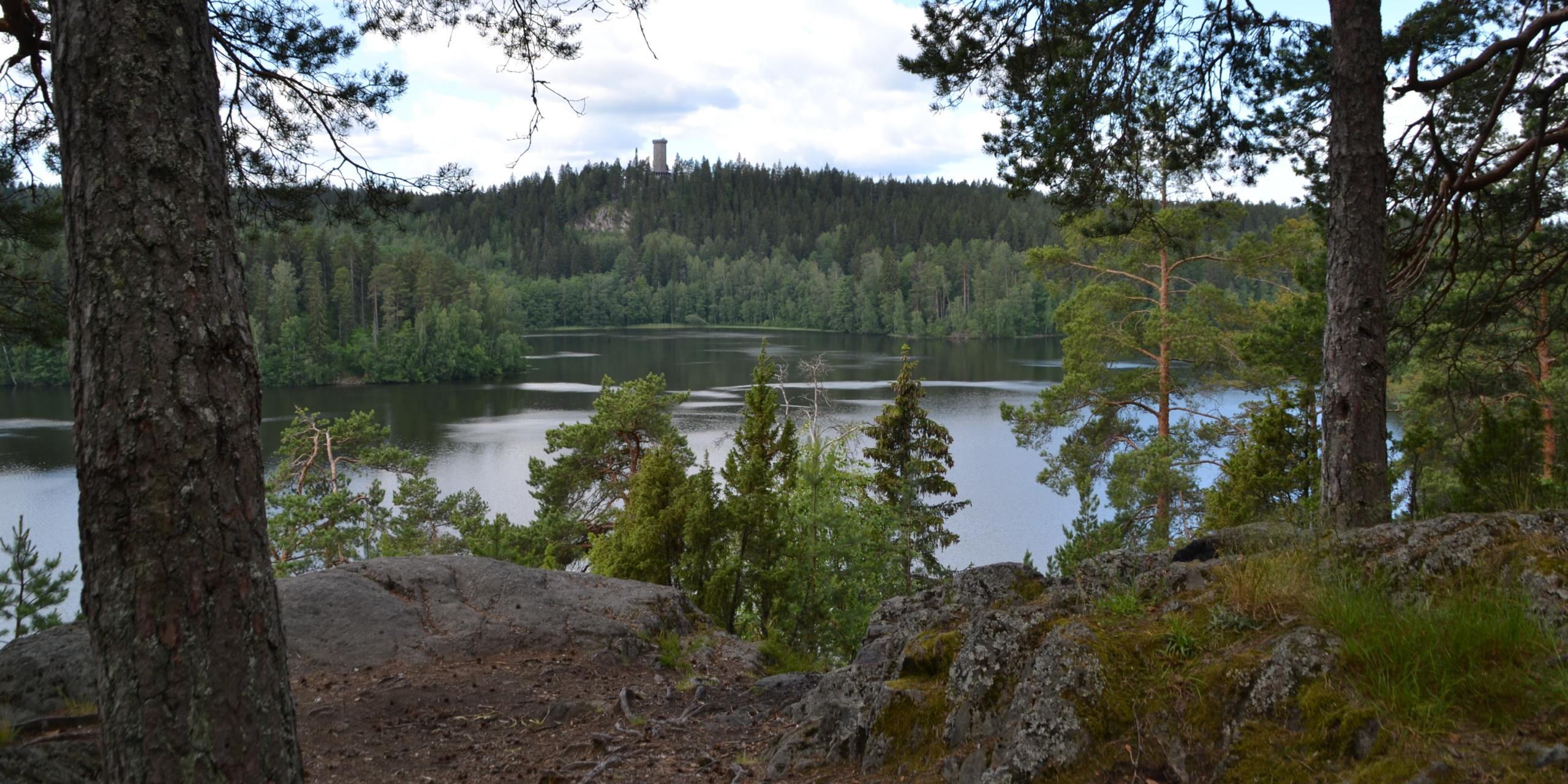 Kesäinen näkymä Sibeliuksen metsän Kärmeskalliolta Aulangonjärven yli kohti horisontissa olevaa Aulangon puistoa ja näkötornia.